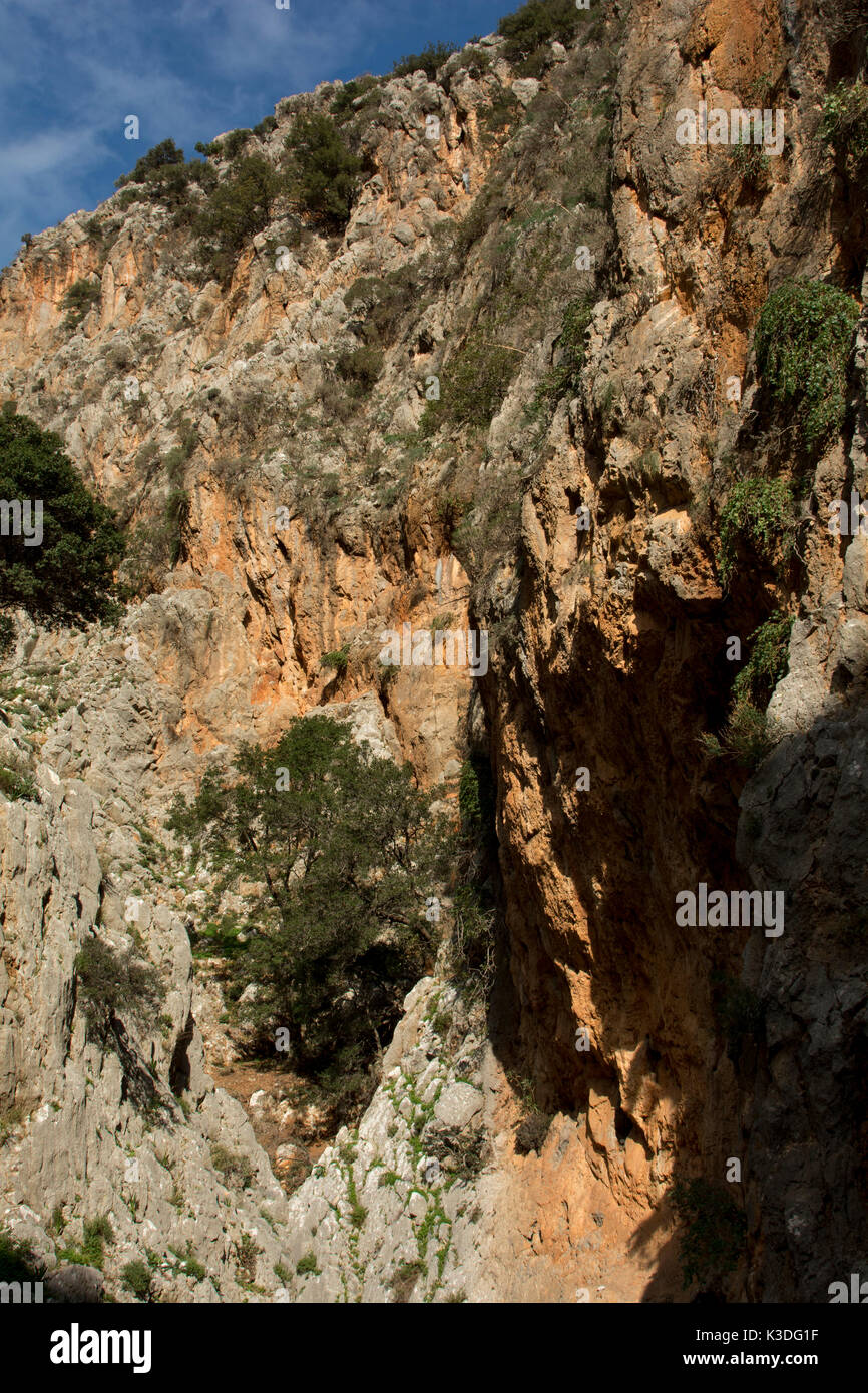 Kritsa Schlucht ist ein schmaler Kalkstein Canyon läuft in der Nähe der Stadt Kritsa durch den Kalkstein Berge von Kreta. Stockfoto