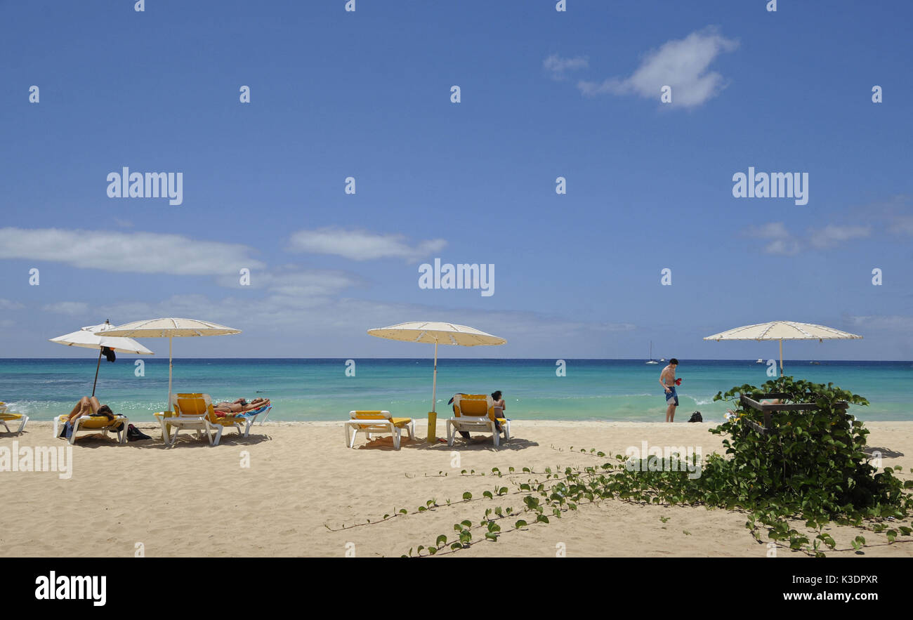Santa Maria Beach, Insel Sal, Kap Verde Inseln, Stockfoto