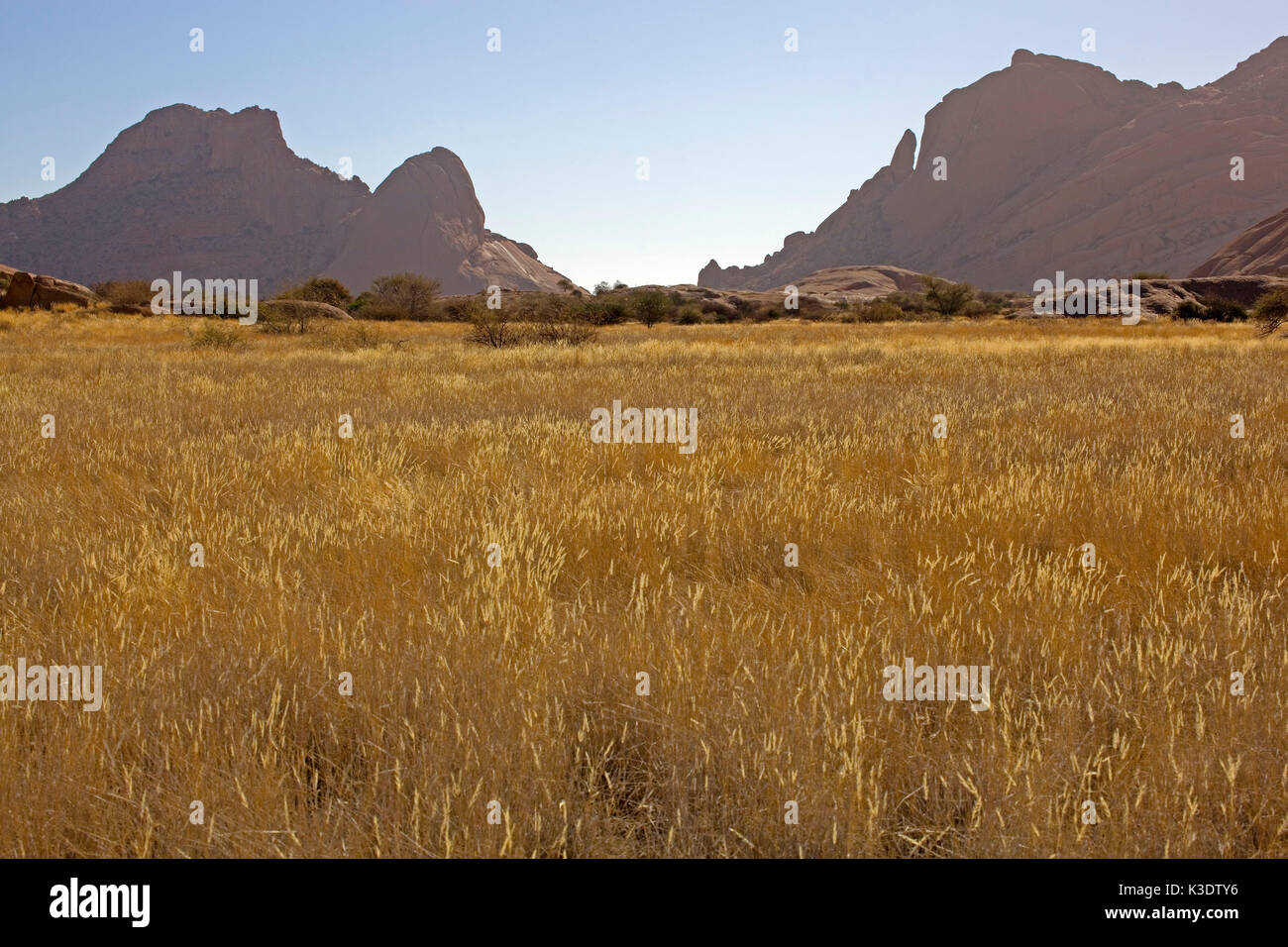 Afrika, Südliches Afrika, Deutsch-Südwest-Afrika, Namibia, Erongo Region, Spitzkoppe, Große Spitzkoppe (Granit peaks), 1728 m im Hintergrund, Stockfoto