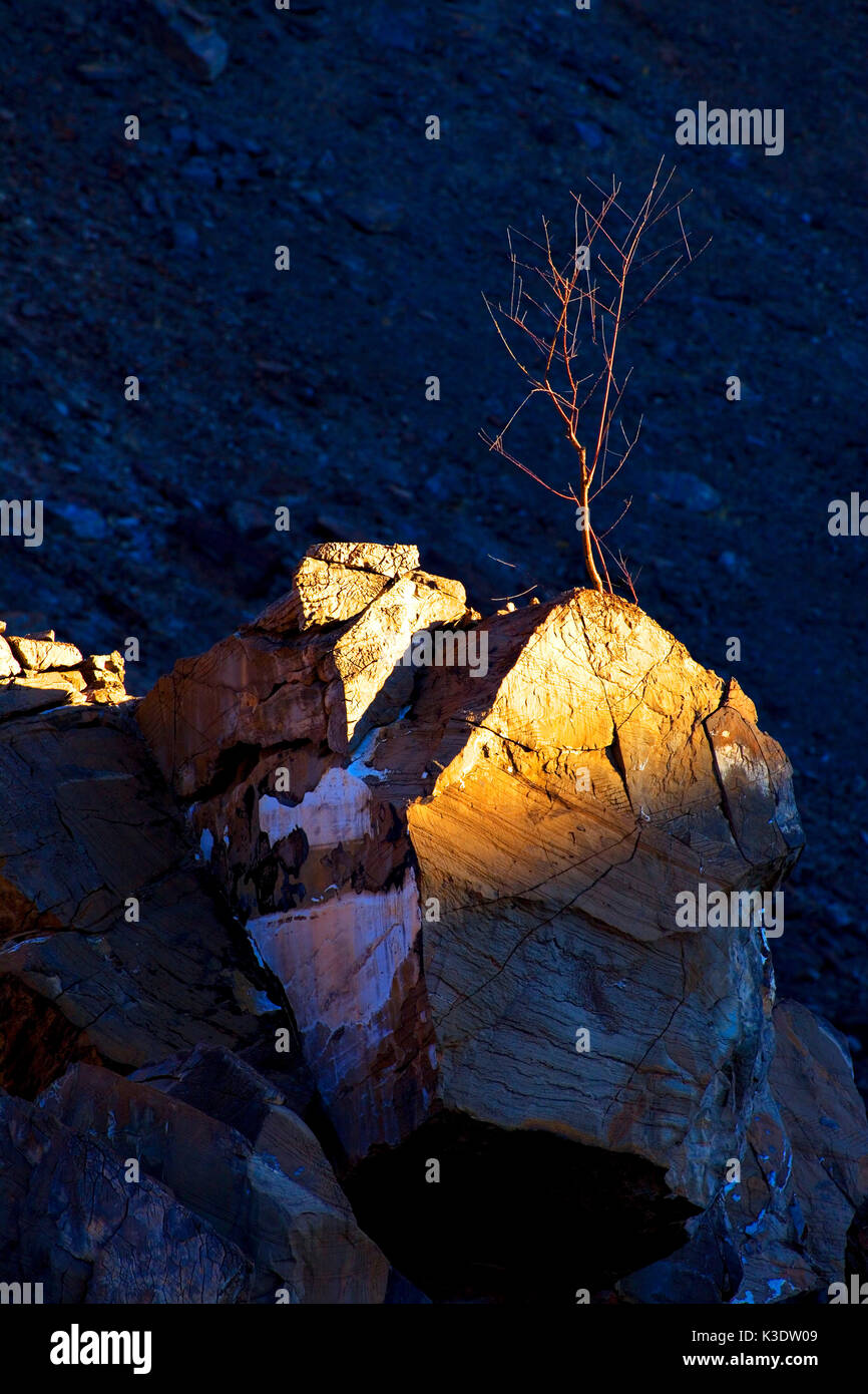 Afrika, Südliches Afrika, Deutsch-Südwest-Afrika, Namibia, Erongo Region, Damaraland, Ugab Tal der Sekundarstufe II, Stockfoto