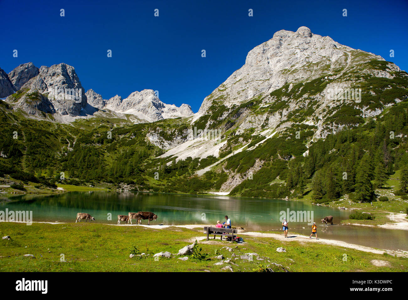 Österreich, Tirol, Ehrwald, Seebensee, Stockfoto