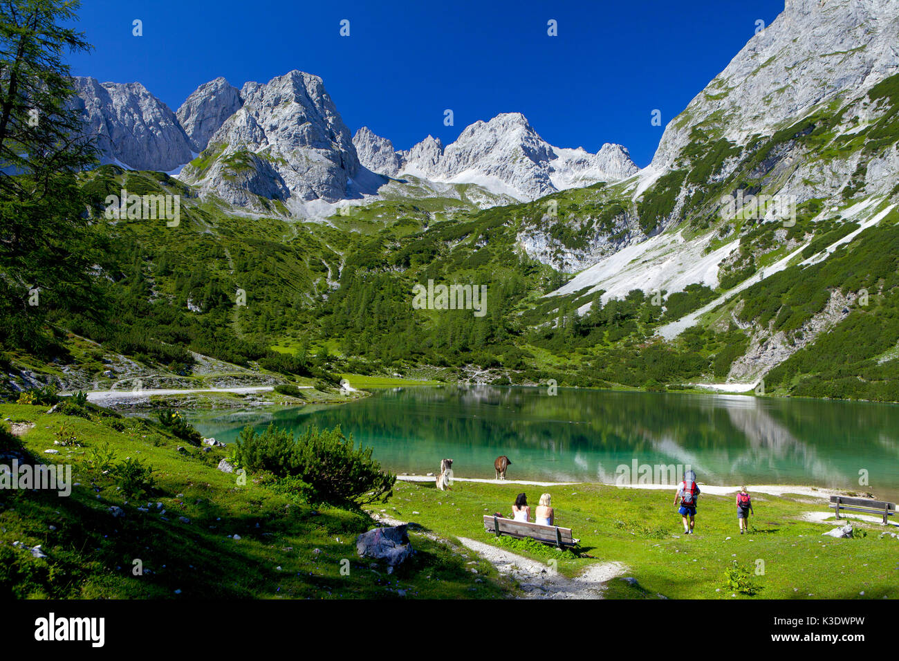 Österreich, Tirol, Ehrwald, Seebensee, Stockfoto