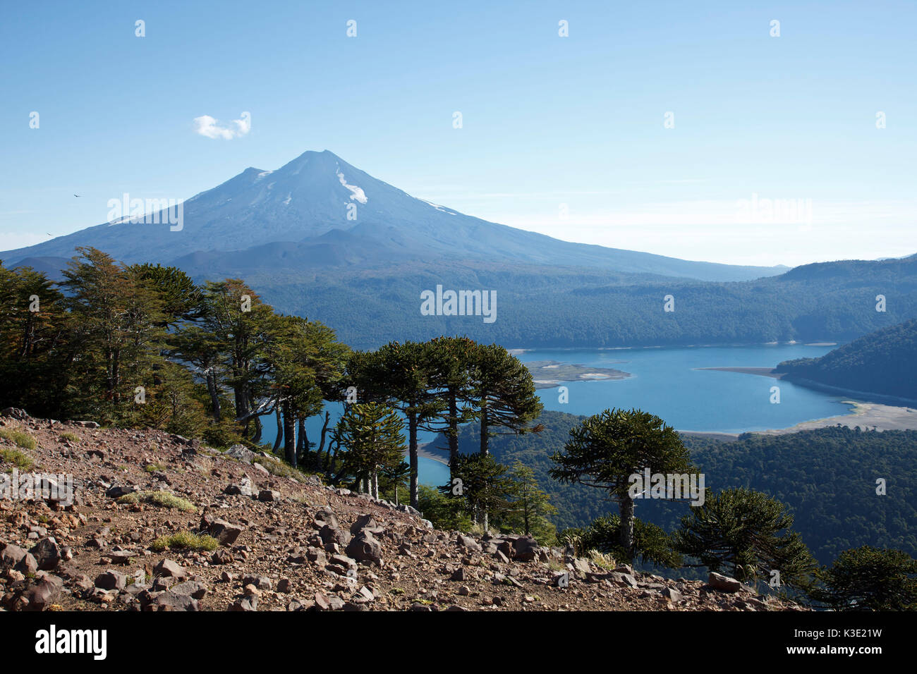 parque-nacional-conguillio-stockfotos-und-bilder-kaufen-alamy