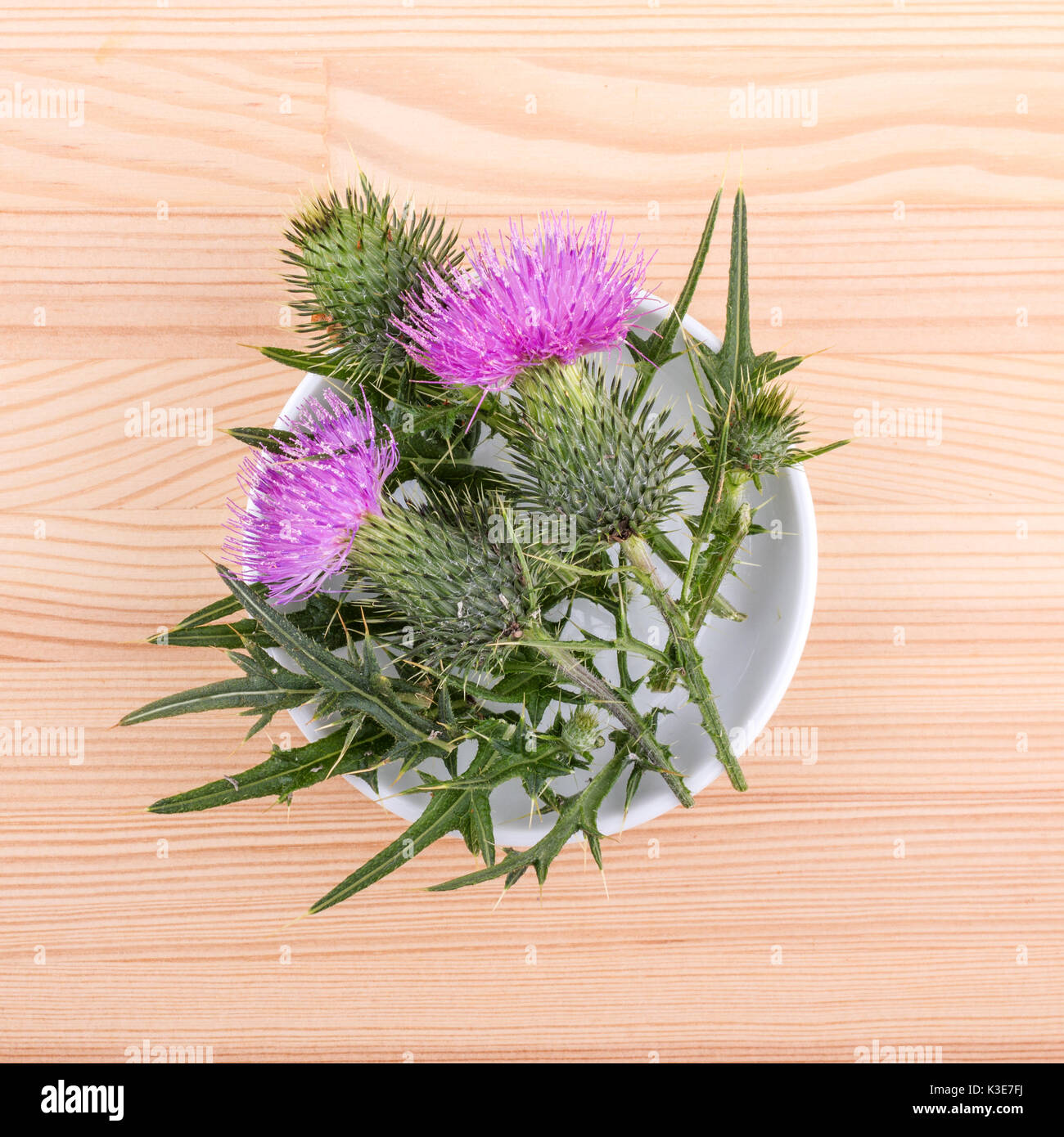 Blick von oben auf die porzellanschale mit blühenden Maria Thistle auf hölzernen Hintergrund Stockfoto