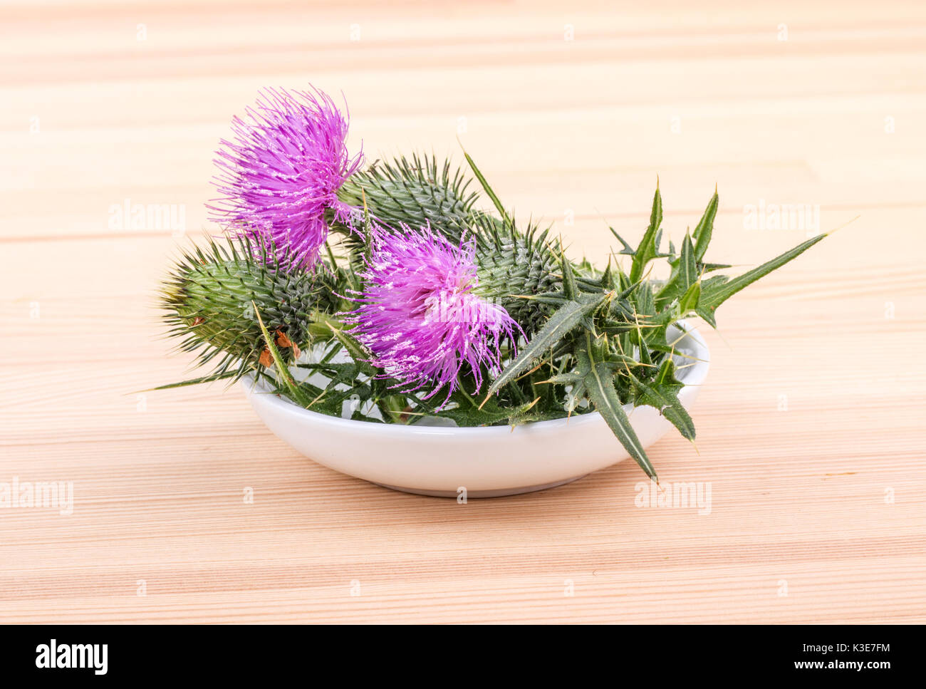 Porzellan Schüssel mit blühenden Maria Thistle auf hölzernen Hintergrund Stockfoto