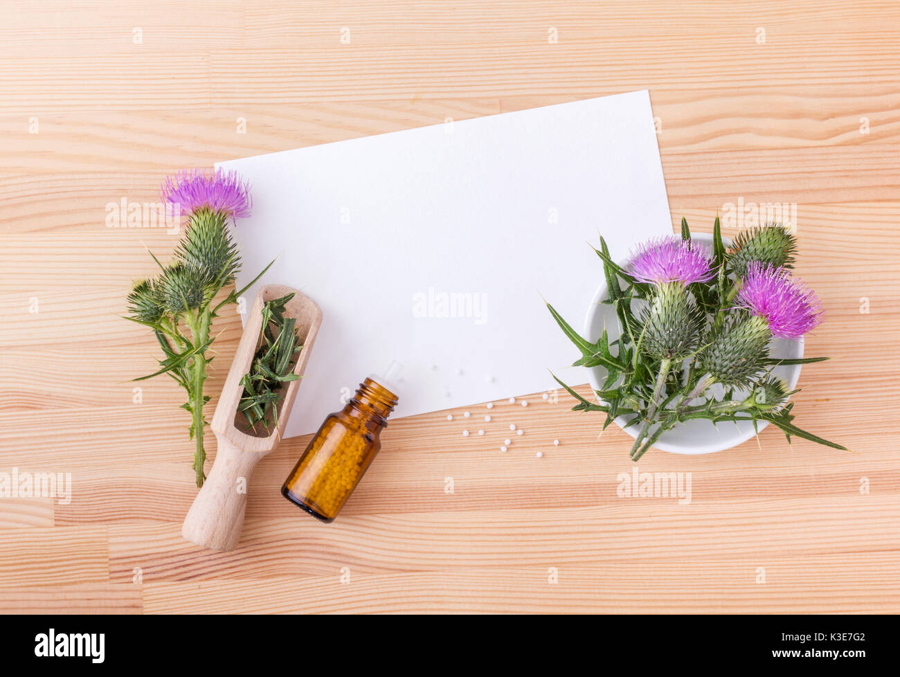 Maria Distel, homöopathische Medizin und weiße Karte mit Kopie Raum Stockfoto