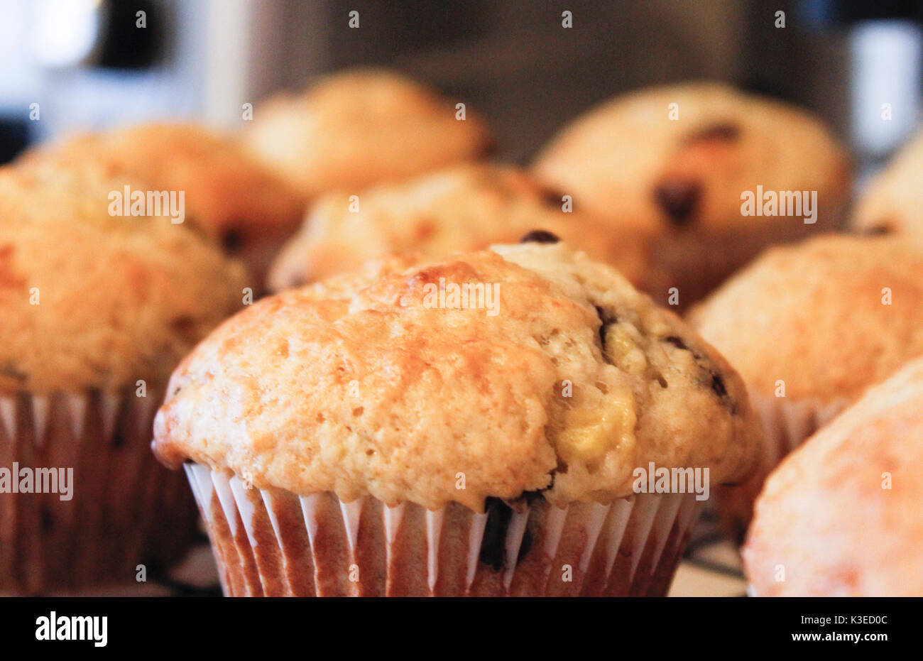 Chocolate Chip oder blueberry muffins Stockfoto