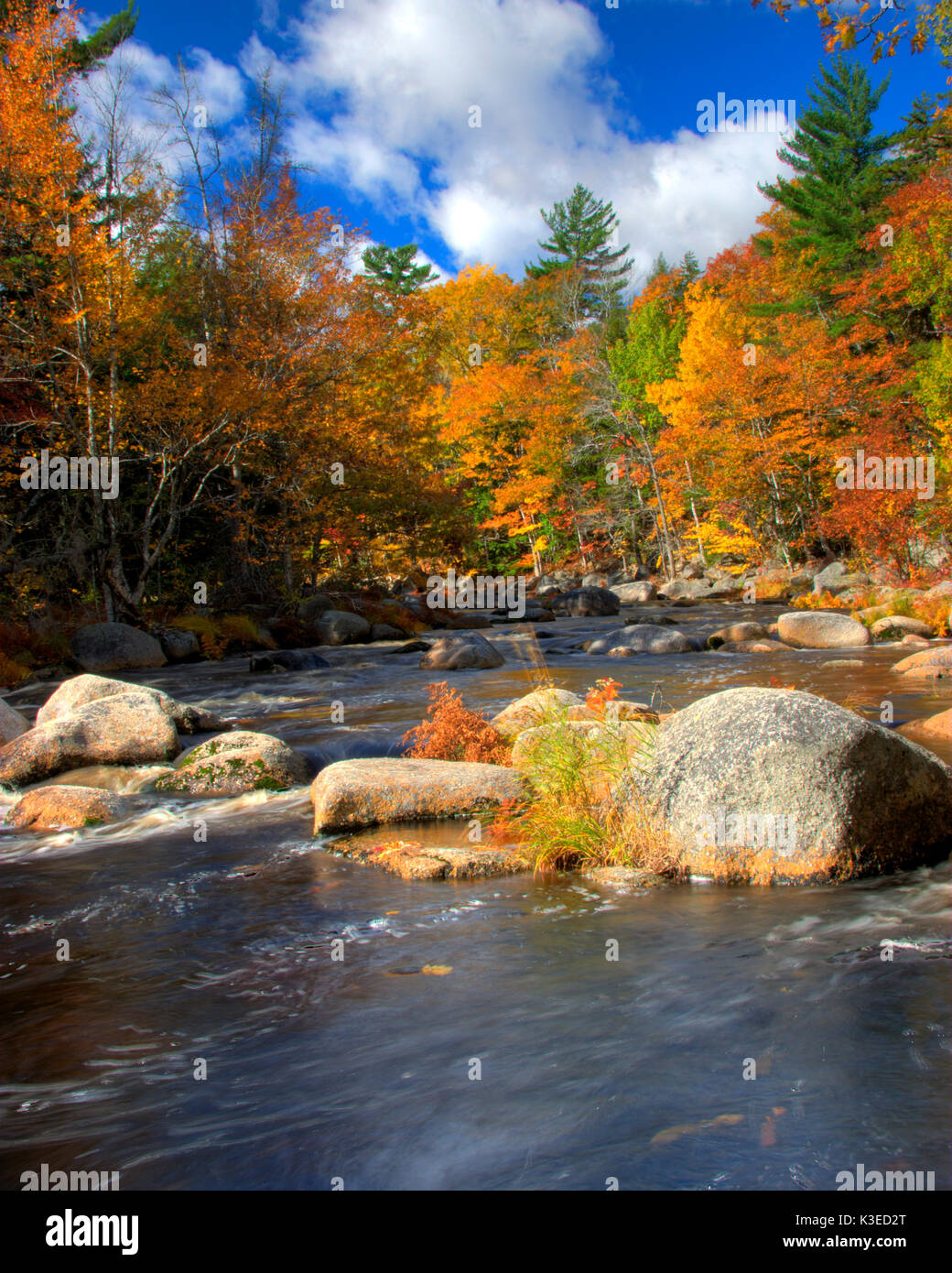 Ruhige See oder Fluss mit Bäume im Herbst Stockfoto
