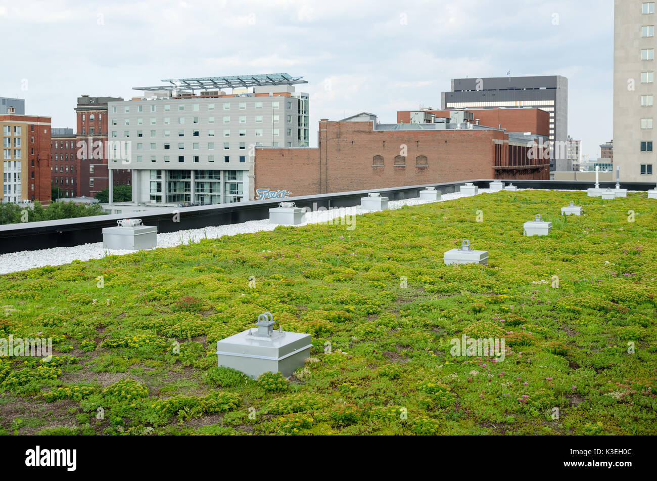 Dachterrasse Garten auf dem Dach des Zentrums für nachhaltige Entwicklung in Montreal Stockfoto