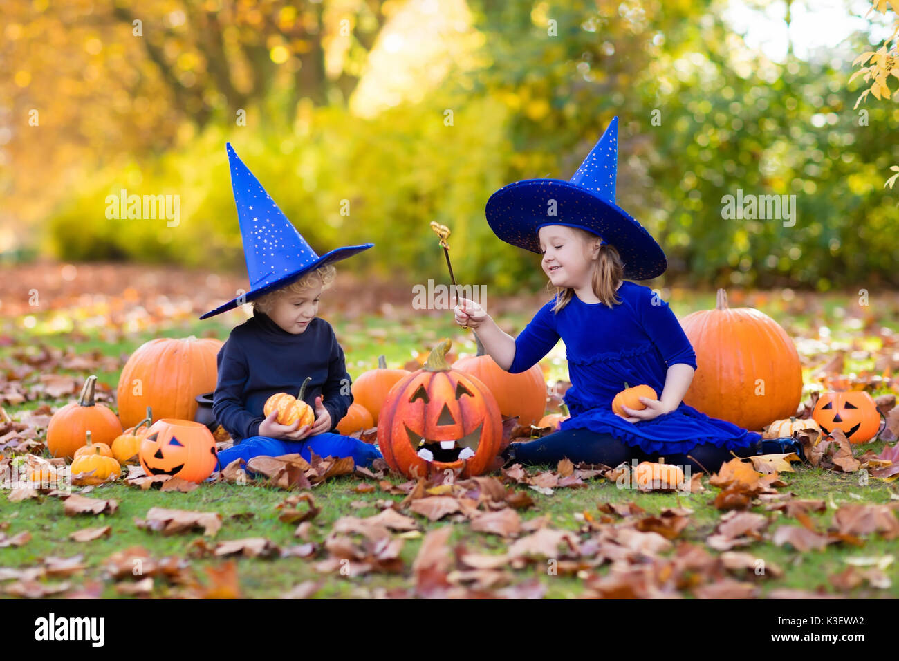 Kinder in der blauen Hexe Kostüm und Hut spielen mit Kürbis und Spinne im  Herbst Park auf Halloween. Kinder Trick oder Festlichkeit. Junge und  Mädchen schnitzen Kürbisse. F Stockfotografie - Alamy