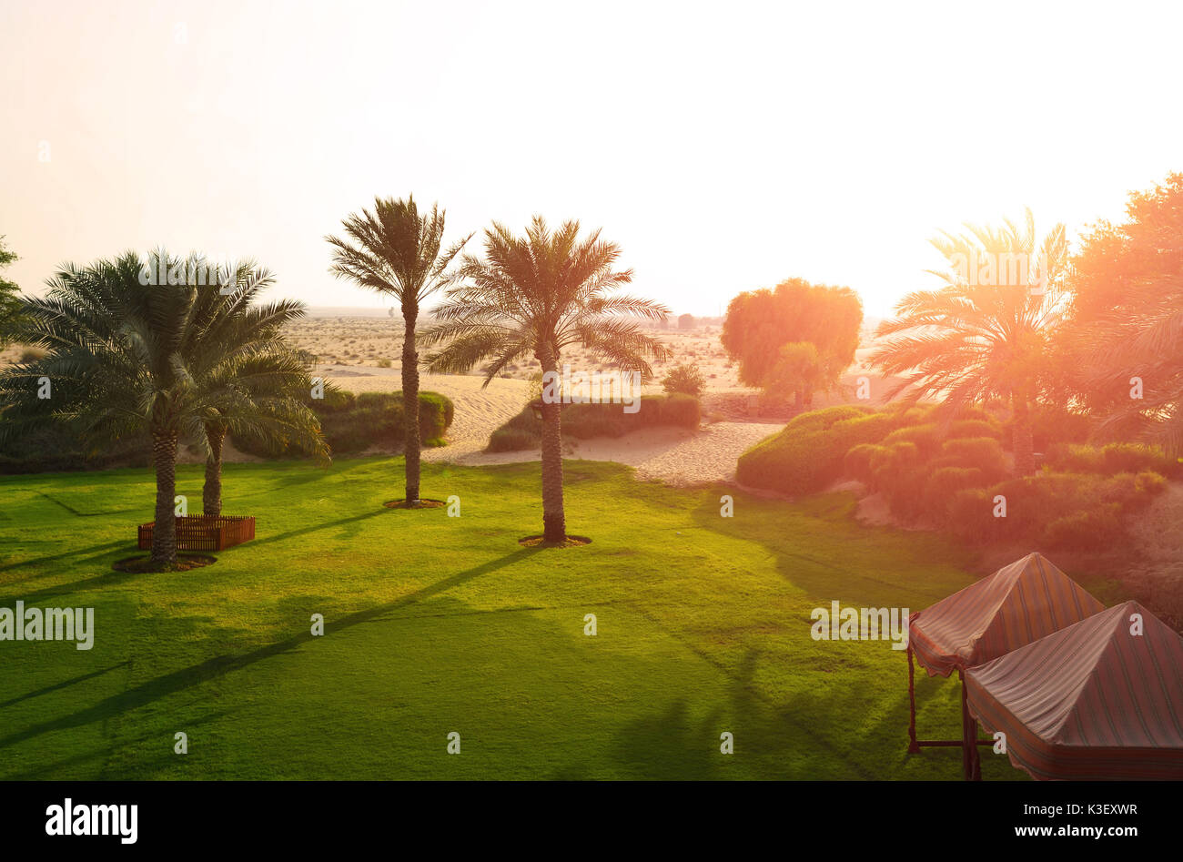 Oase in der Wüste Stockfoto Oase in der Wüste Stockfoto