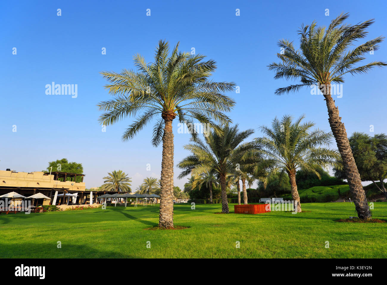 Oase in der Wüste Stockfoto Oase in der Wüste Stockfoto