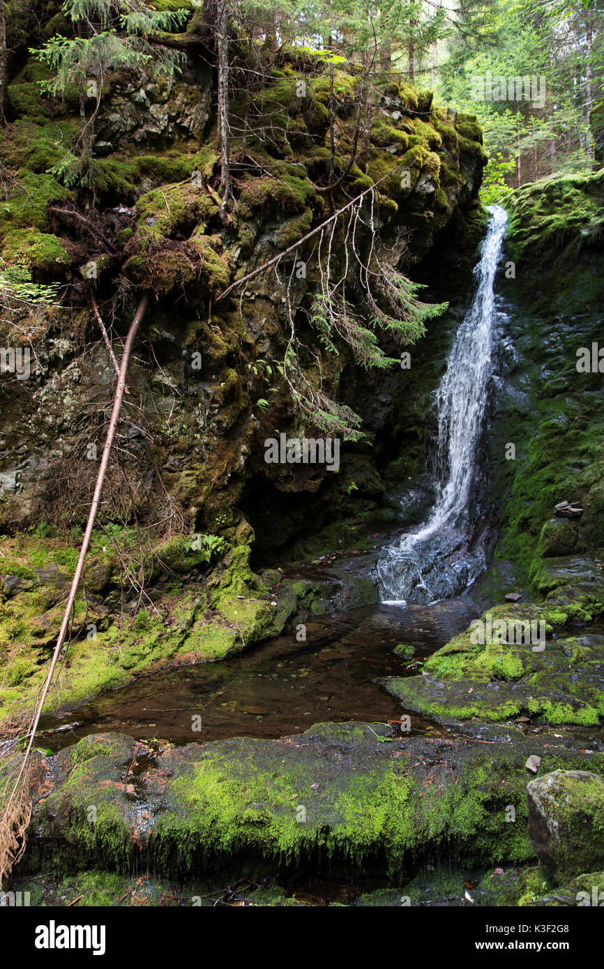 Wasserfall bei Fundy National Park in New Brunswick, Kanada. Der Park ist, kreuz und quer durch die Wander- und Radwege. Stockfoto