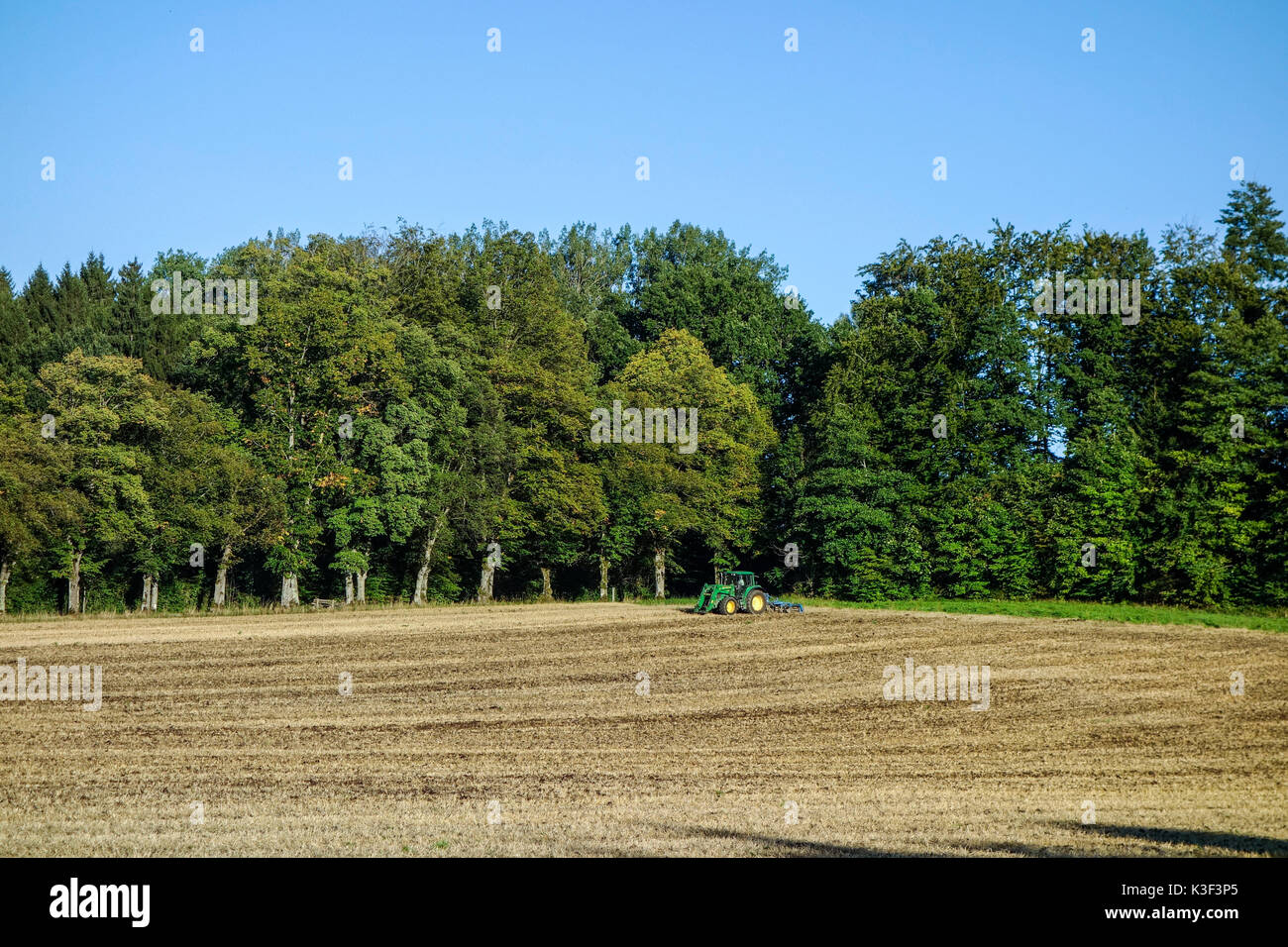 Bauer, Traktor, auf den Feldern arbeiten, Spätsommer Stockfoto