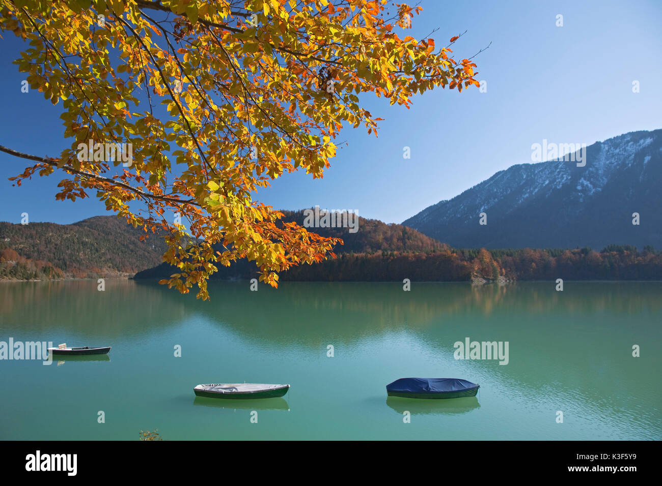 Ruderboote im Herbst am Sylvenstein Stausee, Fallen Dorf in der Nähe von Lenggries, Oberbayern, Bayern, Deutschland Stockfoto