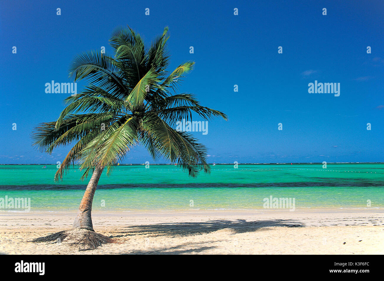 Einsame Caribbean Beach in der Nähe von Palm Stockfoto