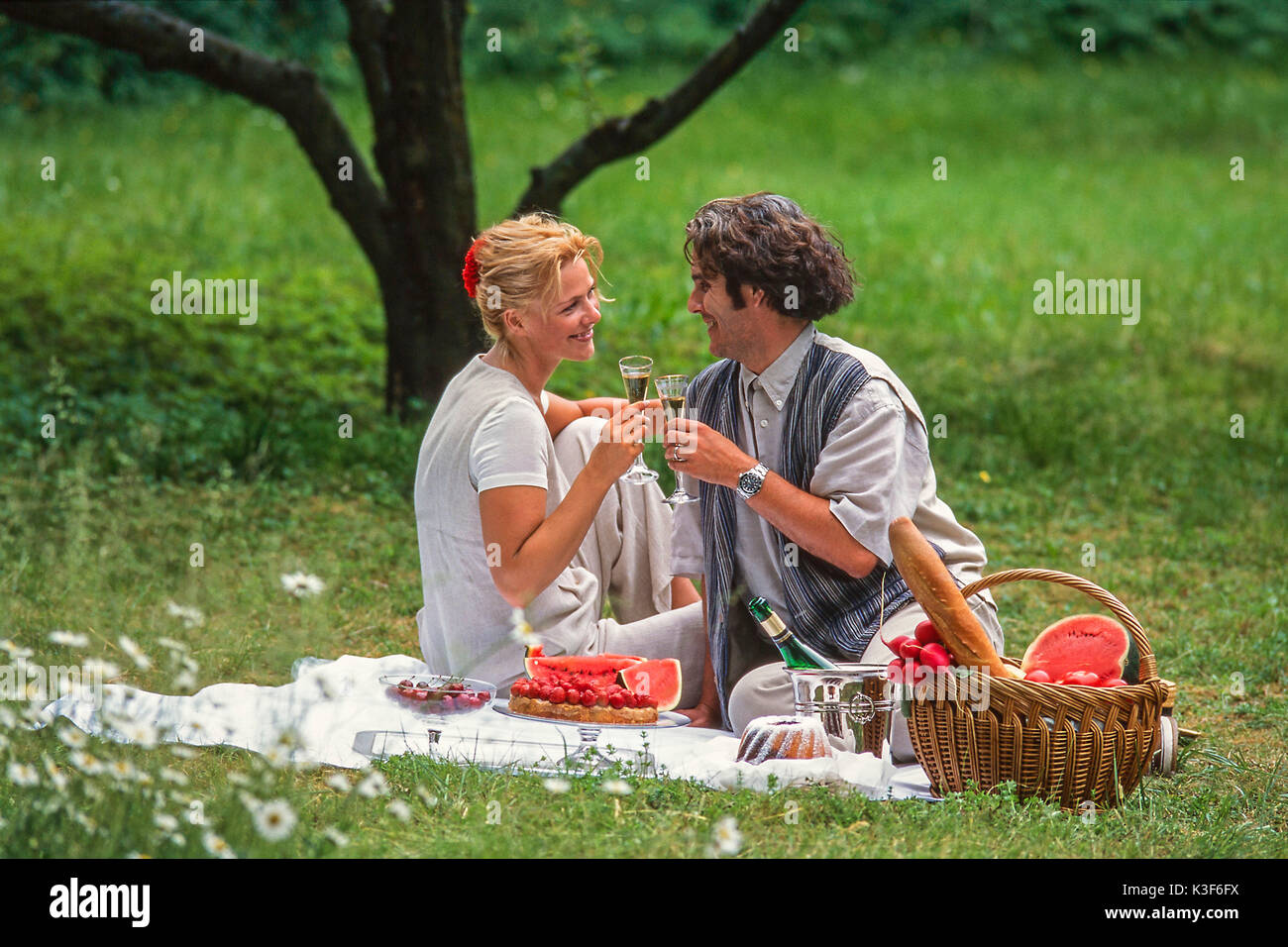 Paar am Picknick heben das Glas mit Sekt Stockfoto