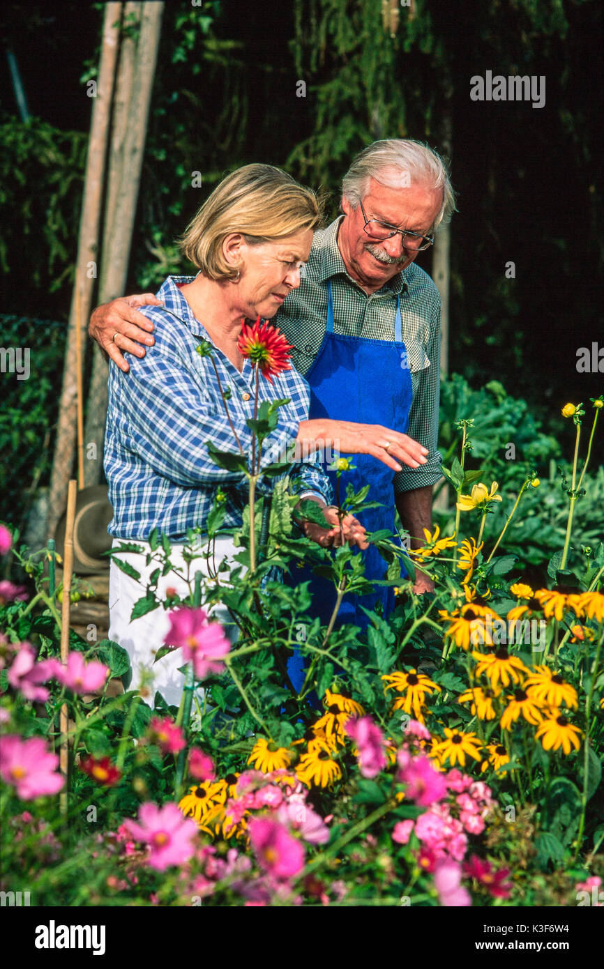 Ältere Paare an der Gartenarbeit Stockfoto