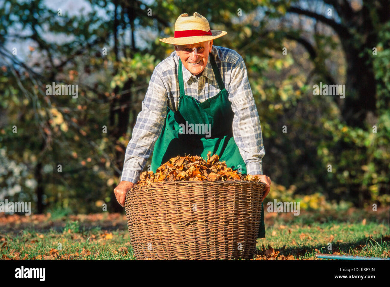 Gärtner ältere an der Gartenarbeit Stockfoto