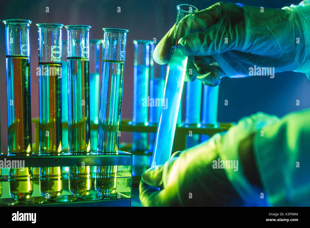 Reagenzgläser im Labor Stockfoto