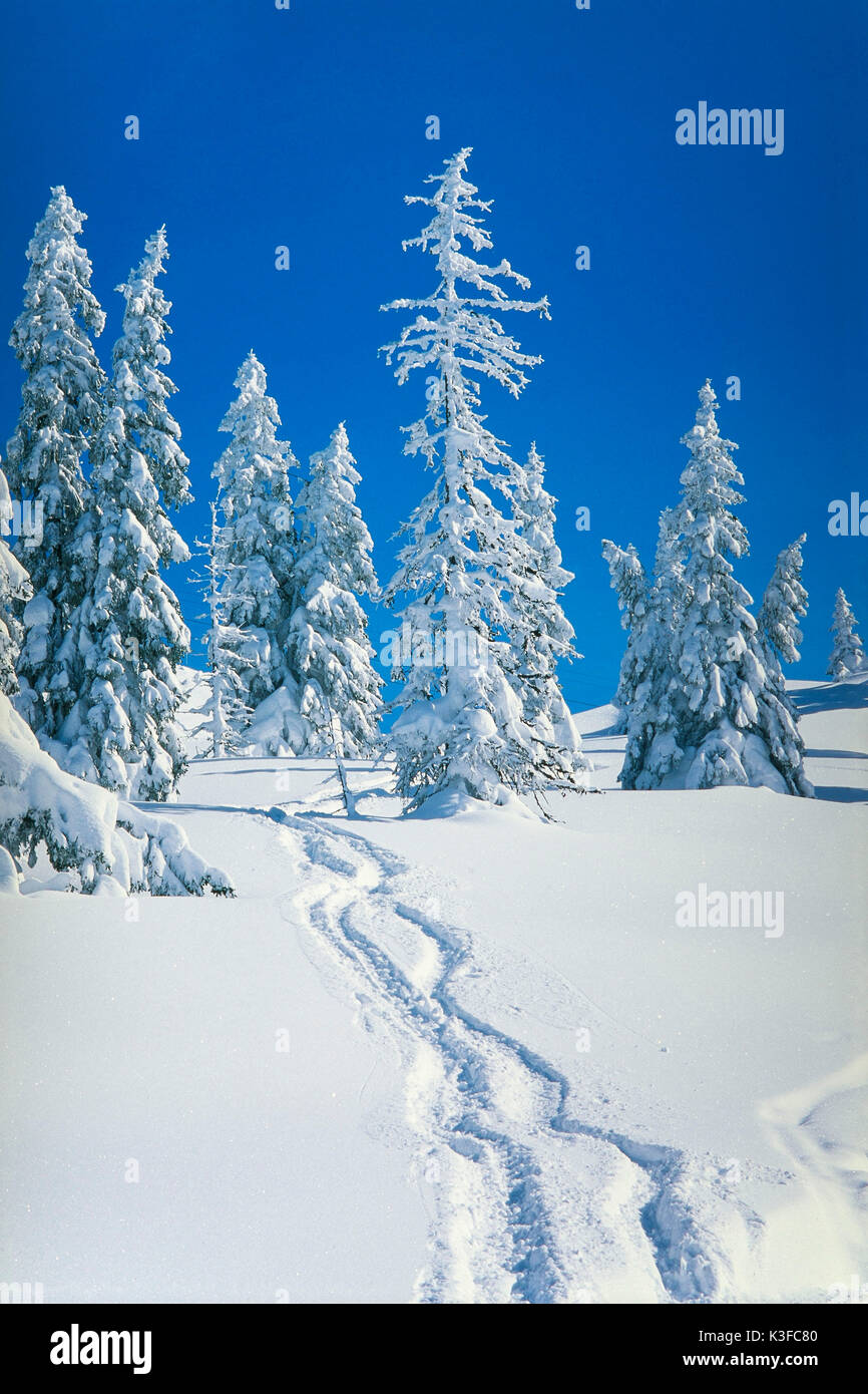 Skipisten in der verschneiten Winterlandschaft Stockfoto