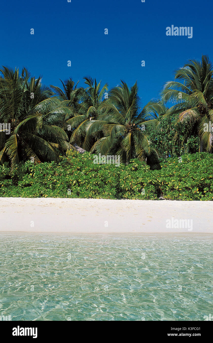 Palm Beach auf den Malediven Stockfoto