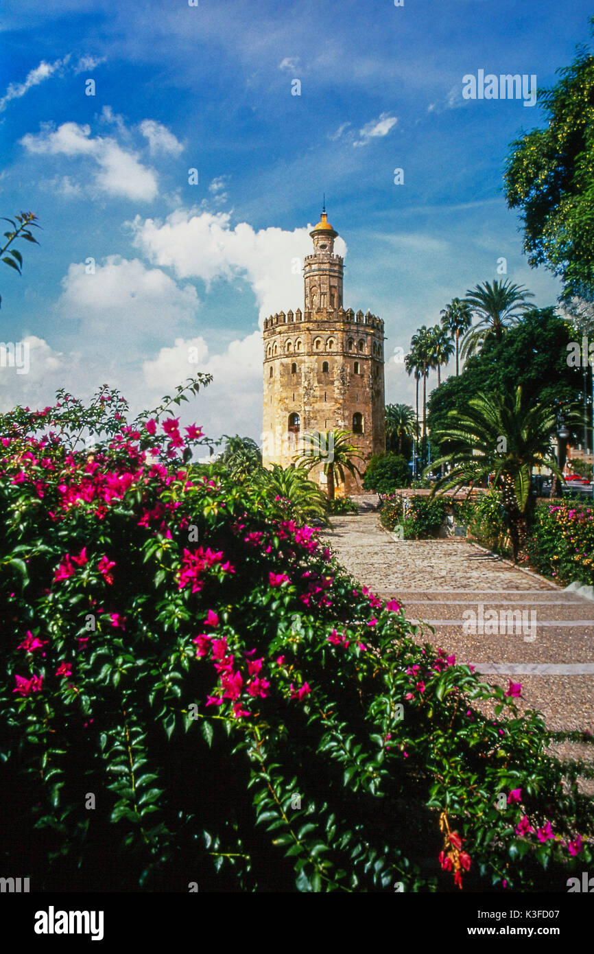 Sevilla, Torre del Oro Stockfoto