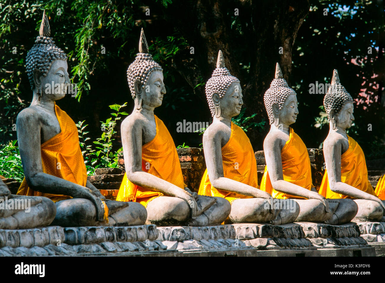 Der Buddha Figuren in Thailand Stockfoto