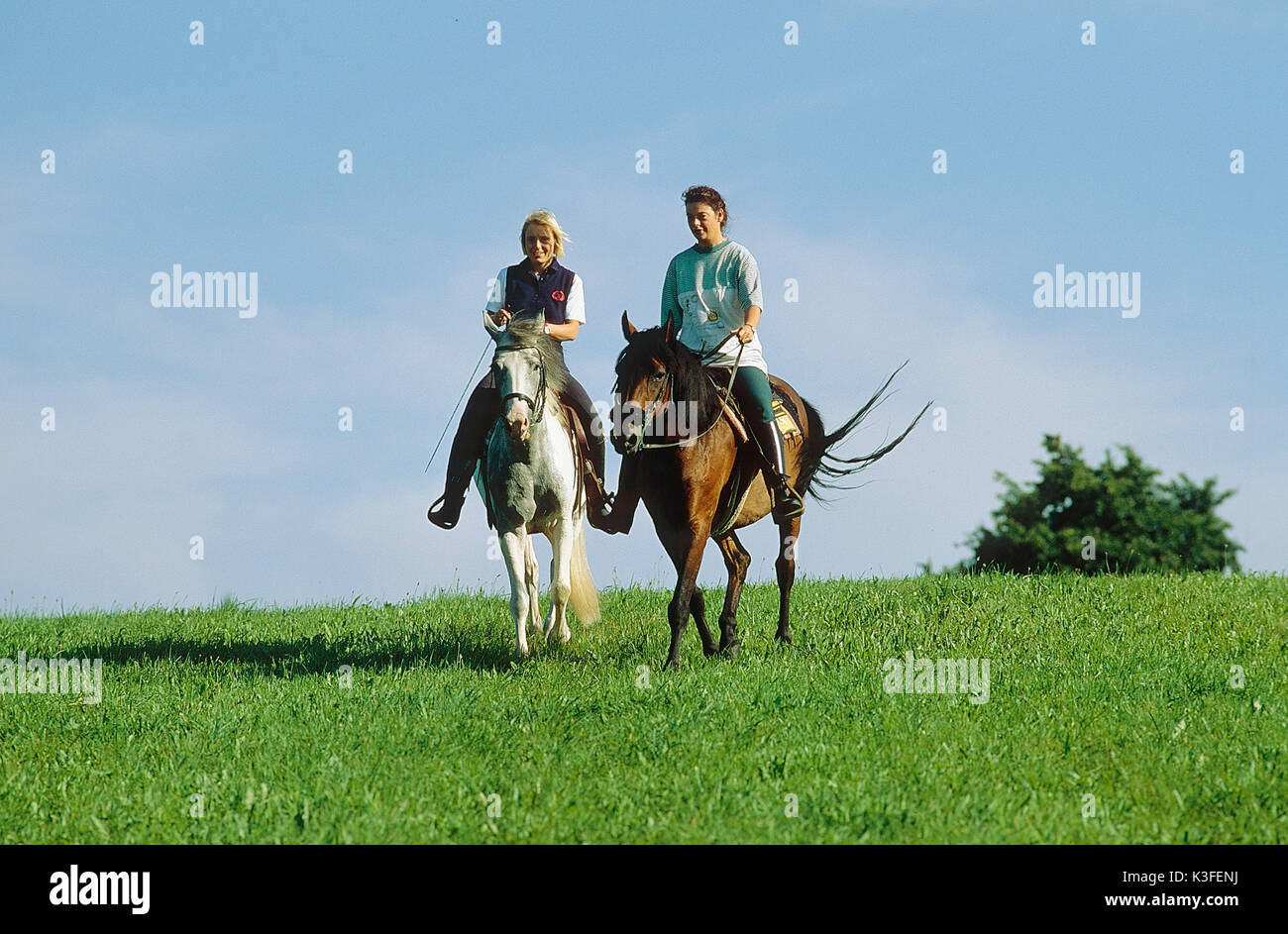 Reiten auf Pferden Stockfoto