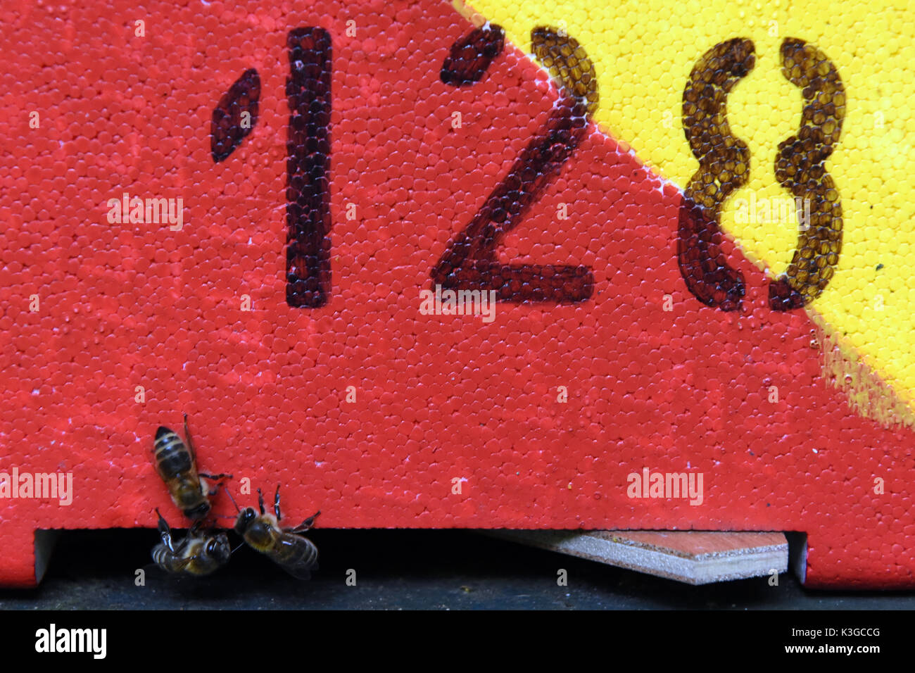 Bienen Konnen Auf Einem Bienenstock Am Tag Der Offenen Tur Zum 25