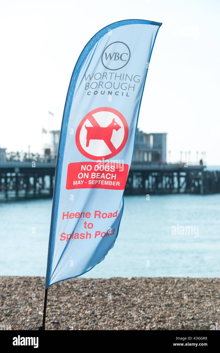 Eine Keine Hunde am Strand Schild am Strand in Worthing, West Sussex, England. Stockfoto