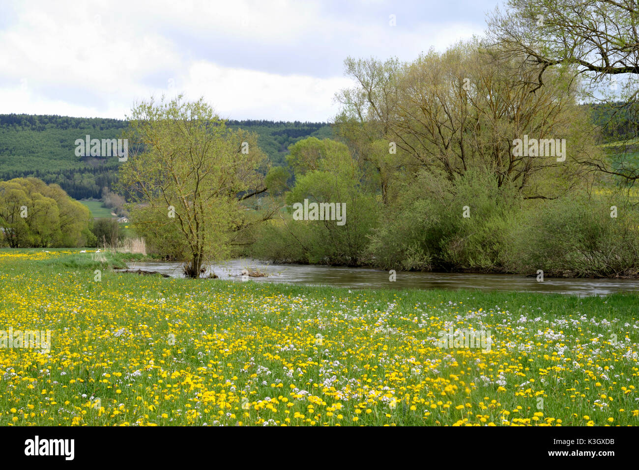 Der oberen Donau in der Nähe von gutmadingen im Frühjahr Stockfoto