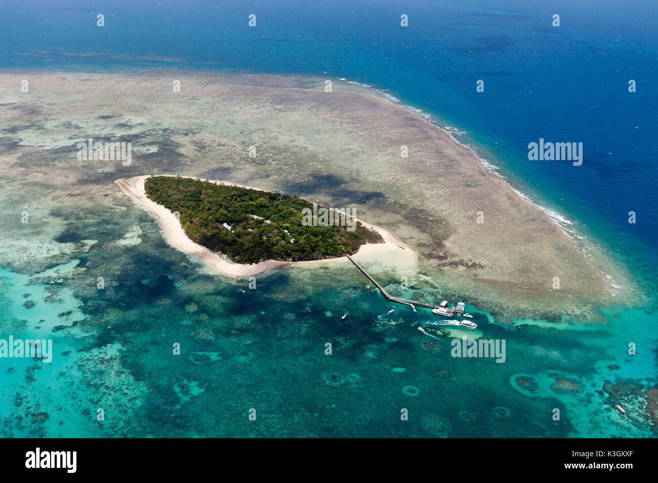 Luftaufnahme von Green Island, Great Barrier Reef, Queensland, Australien Stockfoto