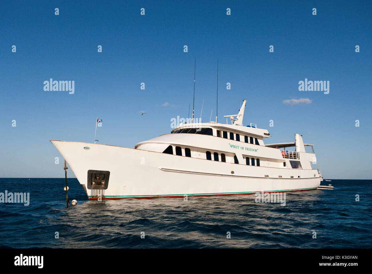 Tauchsafari am Great Barrier Reef, Great Barrier Reef, Australien Stockfoto