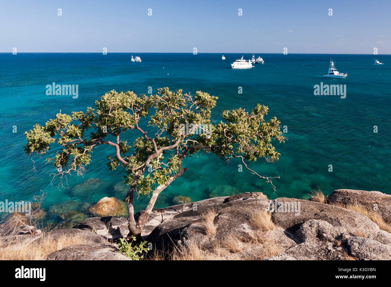 Watsons Bay Lizard Island, Great Barrier Reef, Australien Stockfoto