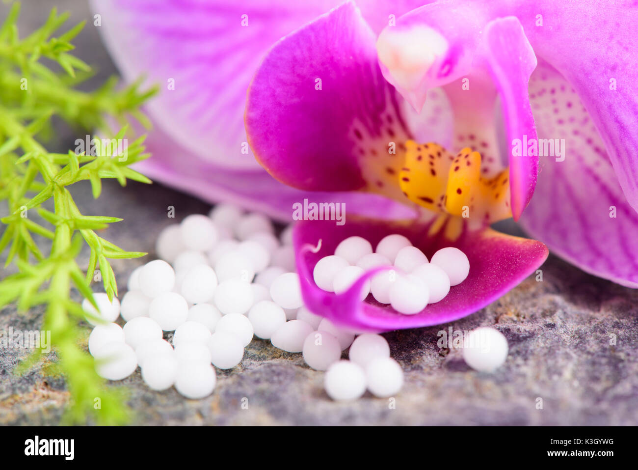 Natur Medizin schließen Globuli Stockfoto