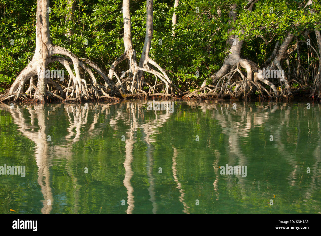 Die Dominikanische Republik, nord-östlich, Rio San Juan, Laguna Gri-Gri Stockfoto