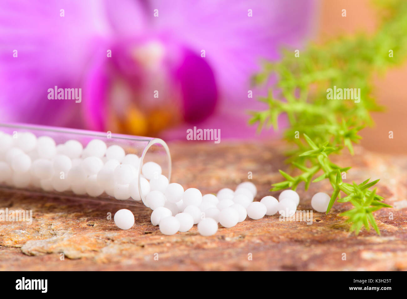 Natur Medizin mit homöopathischen Globuli Stockfoto