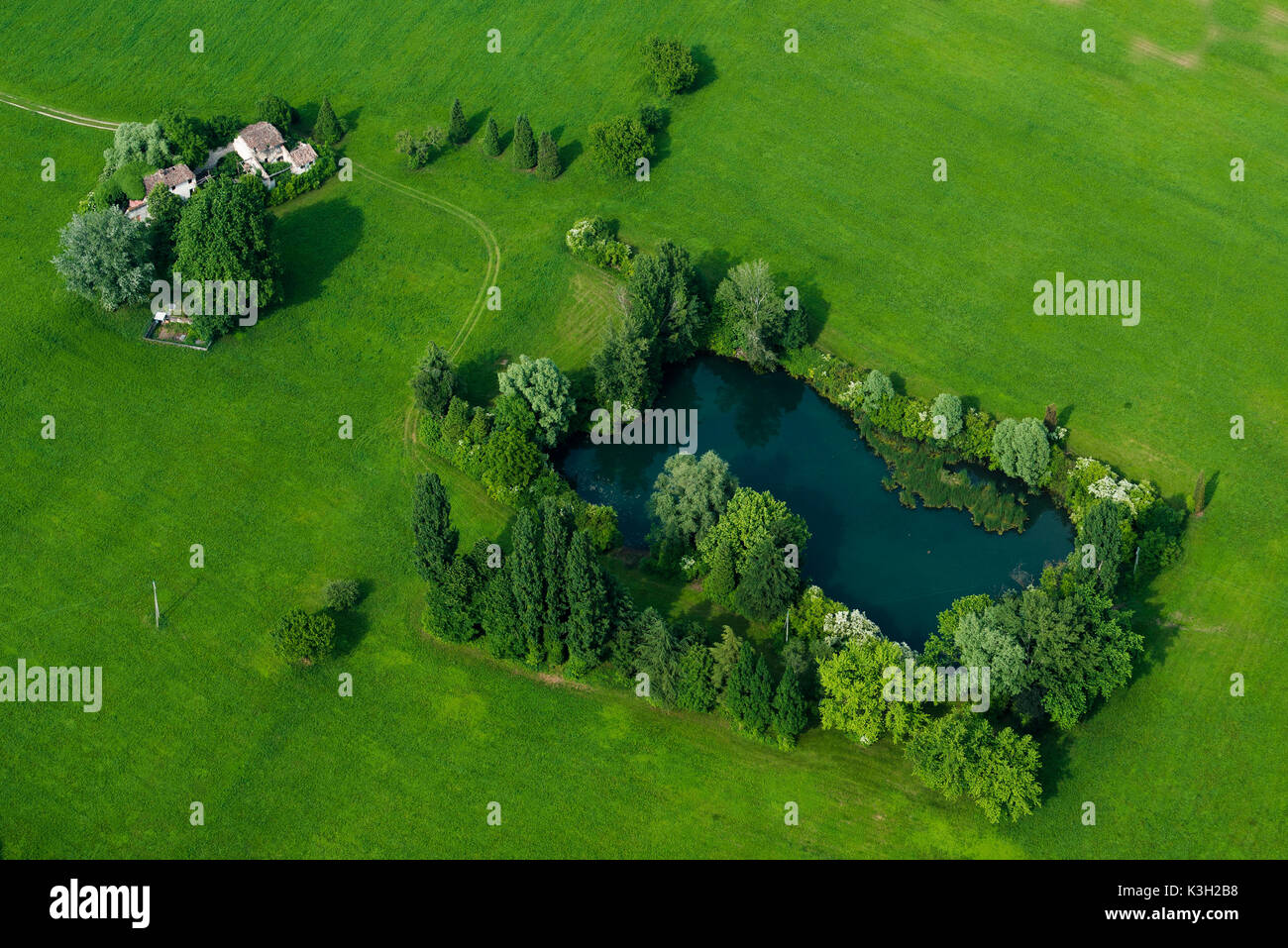 Natur Teich Idylle, Biotop, Leben in der Nähe der Natur, Paradies, in der Nähe von Bassano, Luftbild, Provinz Vicenza, Region Venetien, Italien Stockfoto