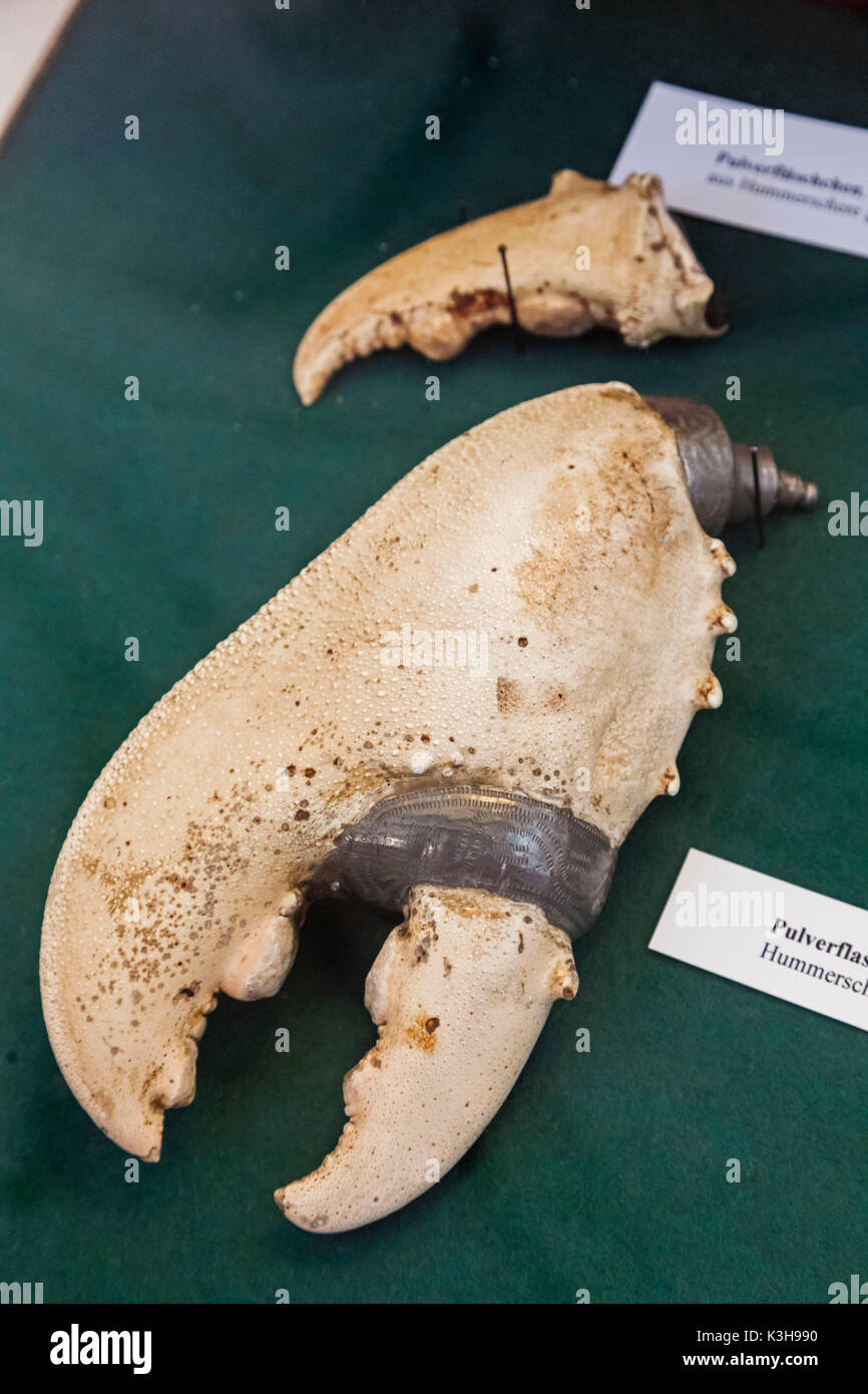 Deutschland, Bayern, München, das Deutsche Jagd- und Fischereimuseum (Deutsches Jagd-Und Fischereimuseum), Ausstellung von Krabben Claw Pulver Horn Stockfoto