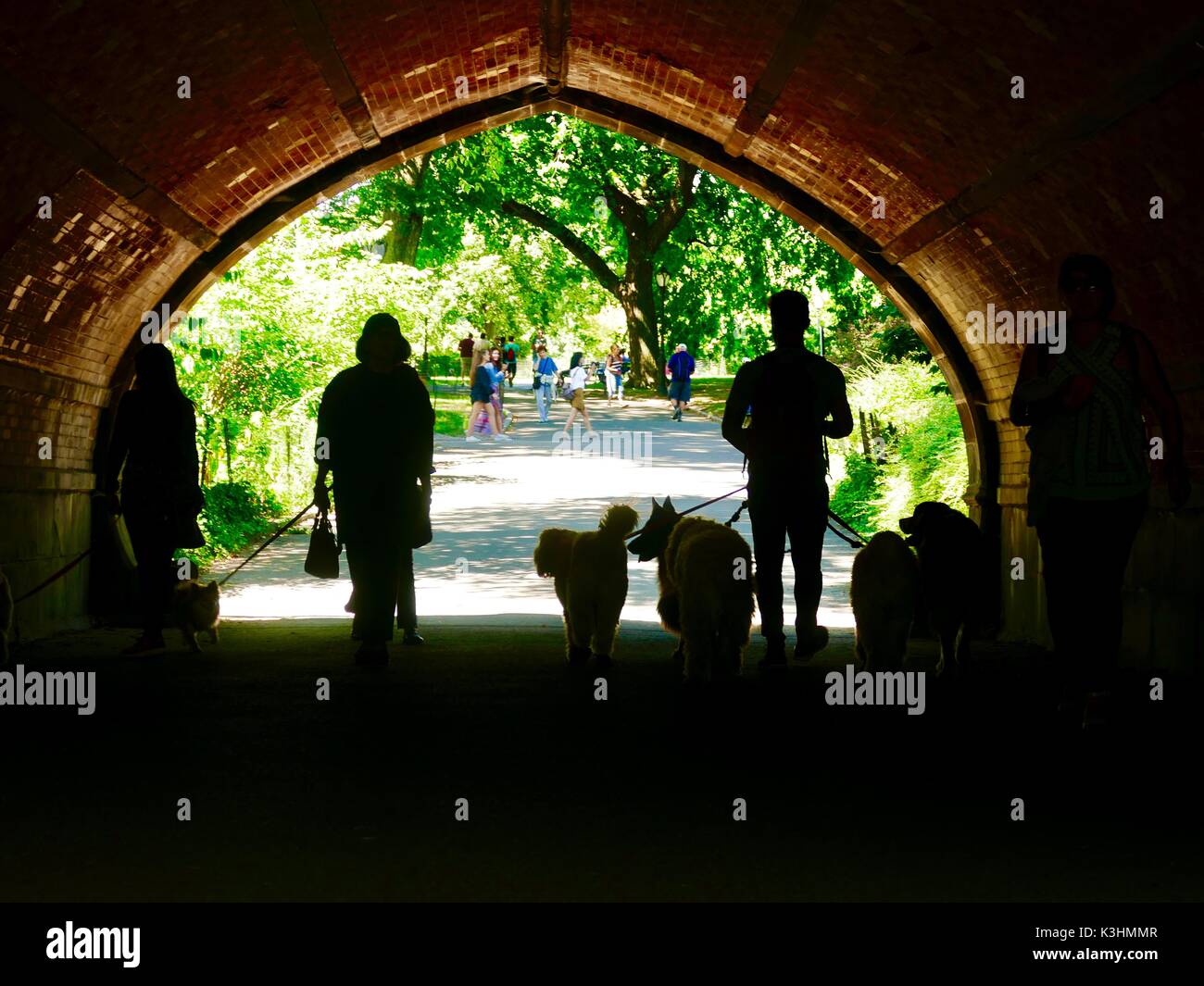 Hund Wanderer mit großen Hunden, Grauwacke Arch, Central Park, Manhattan, New York, NY, USA Stockfoto