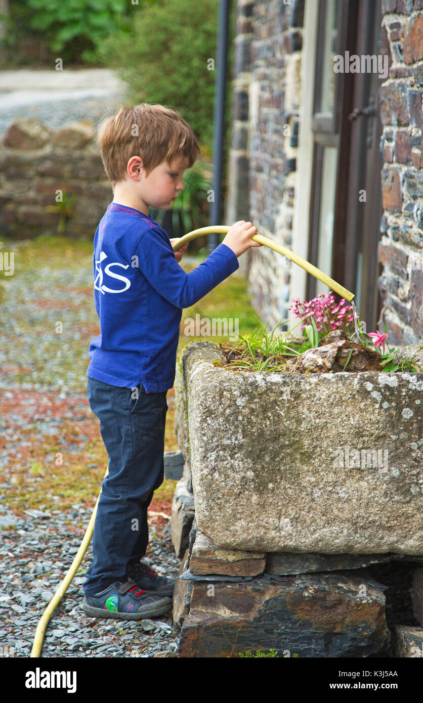 Ein kleiner Junge Bewässerung von Pflanzen mit einem Schlauch Stockfoto