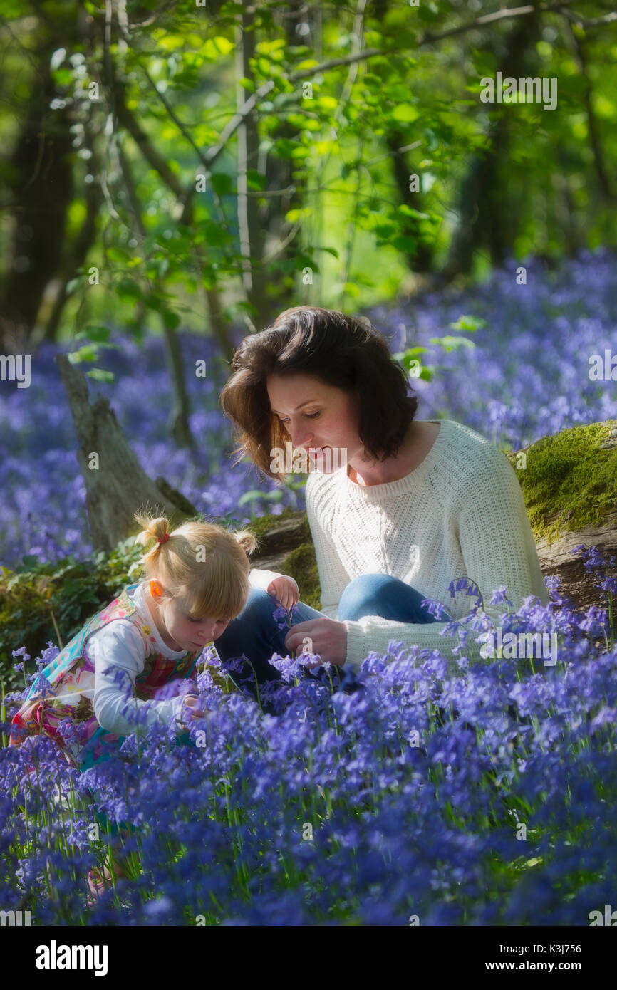 Eine junge Mutter mit ihrem Kind in einer Bluebell Holz in Devon, England Großbritannien Stockfoto