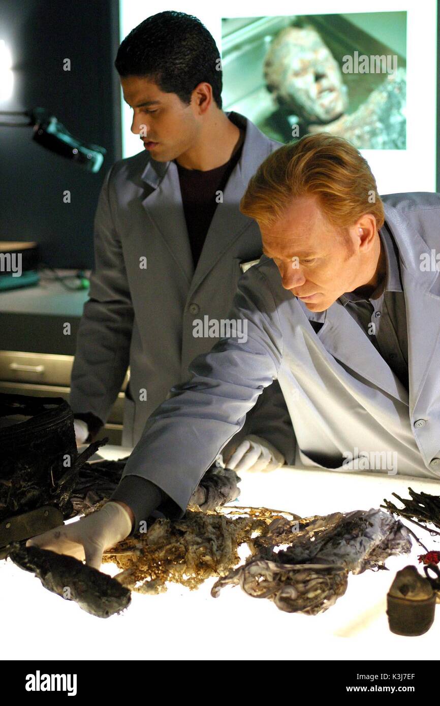 what happened to delko on csi miami season 5 what happened to delko on csi miami season 5