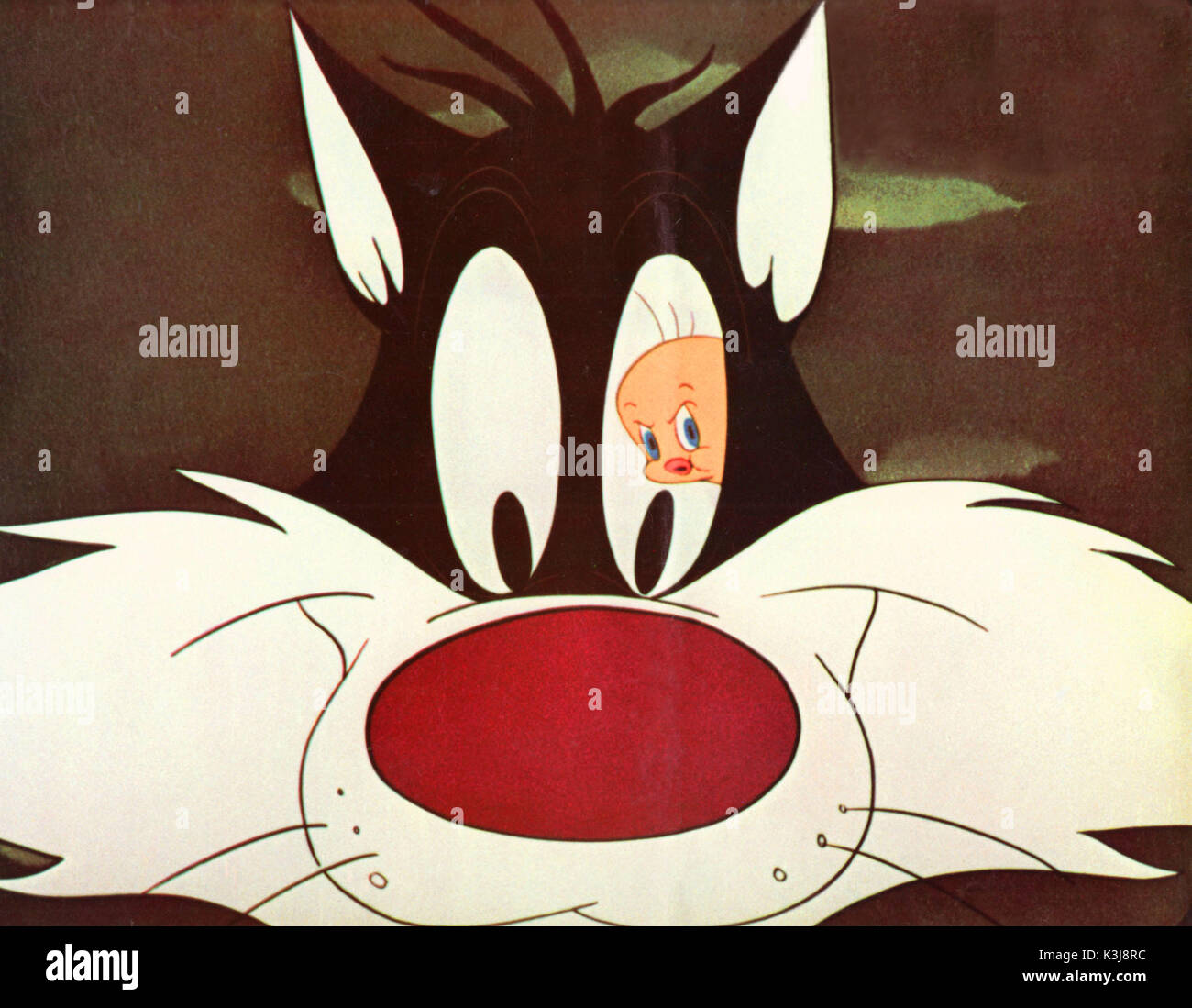 Sylvester Cartoon Stockfotos Und Bilder Kaufen Alamy