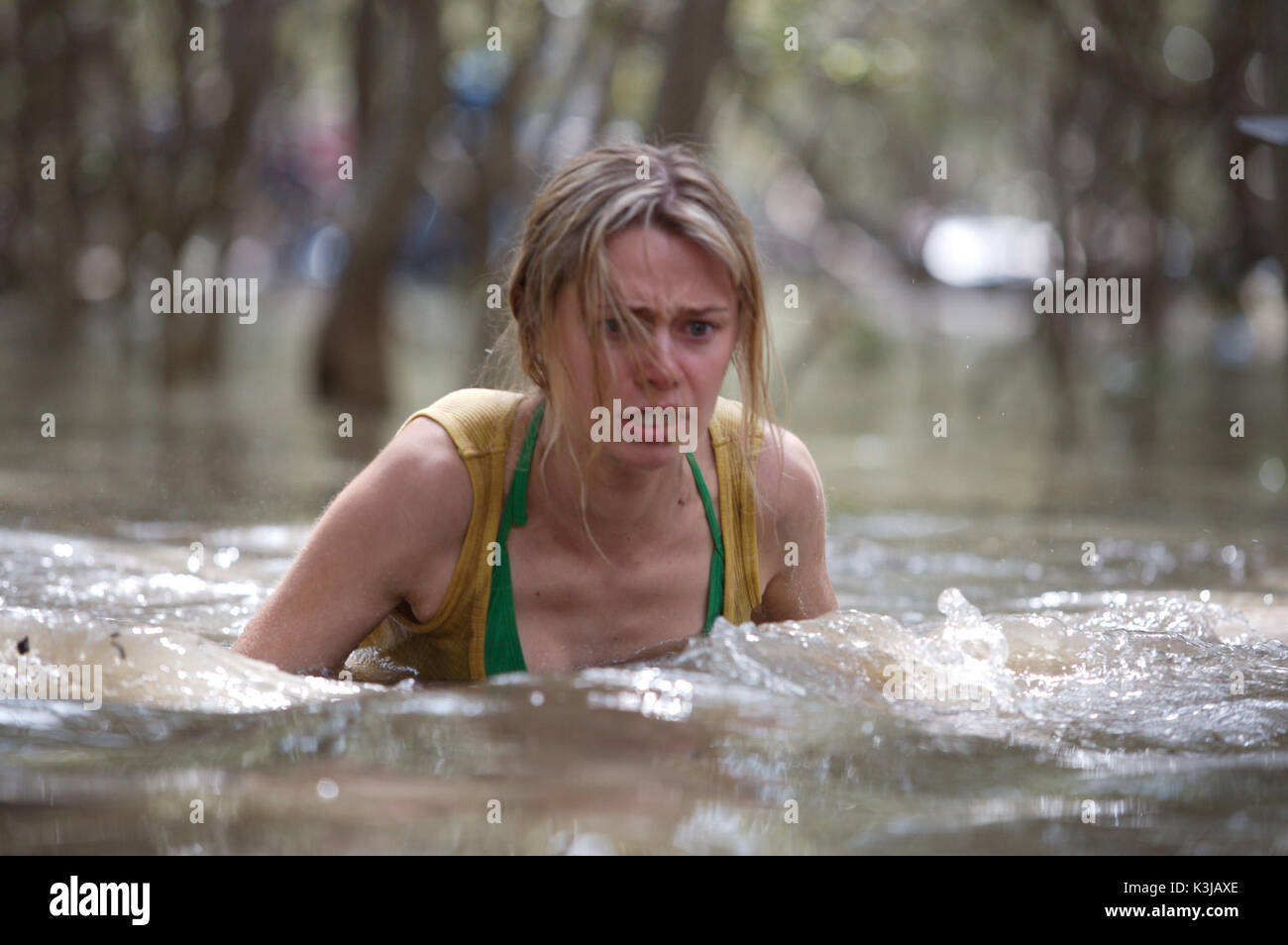 Schwarzes WASSER MAEVE DERMODY BLACK WATER Datum: 2007 Stockfoto