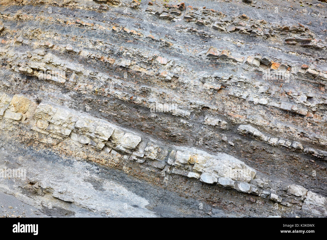 Sedimentäre Schichtung bei Joggins Fossil Klippen, Nova Scotia, Kanada Stockfoto