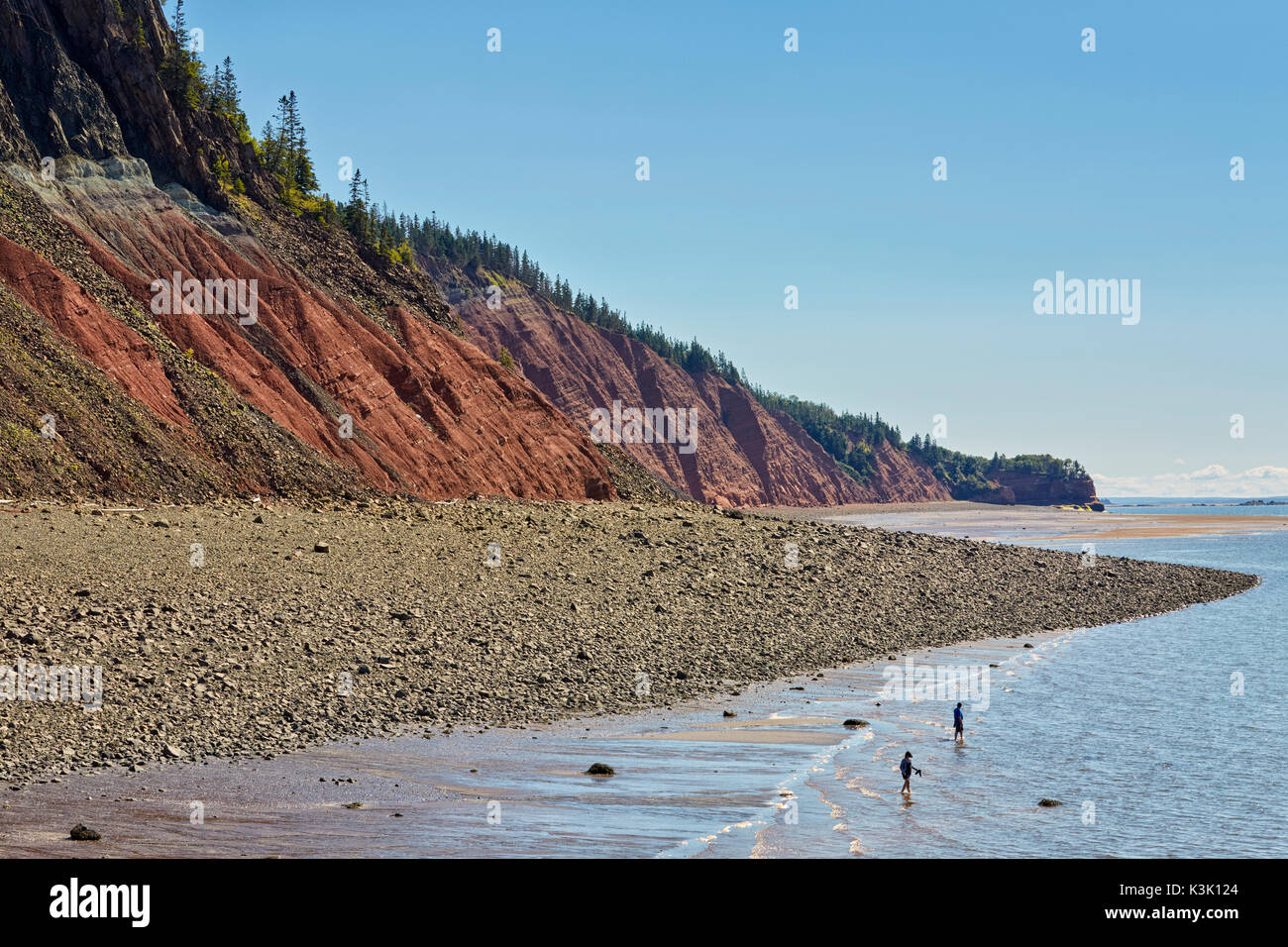 Klippen bei fünf Inseln Provincial Park, Bucht von Fundy, Nova Scotia, Kanada Stockfoto