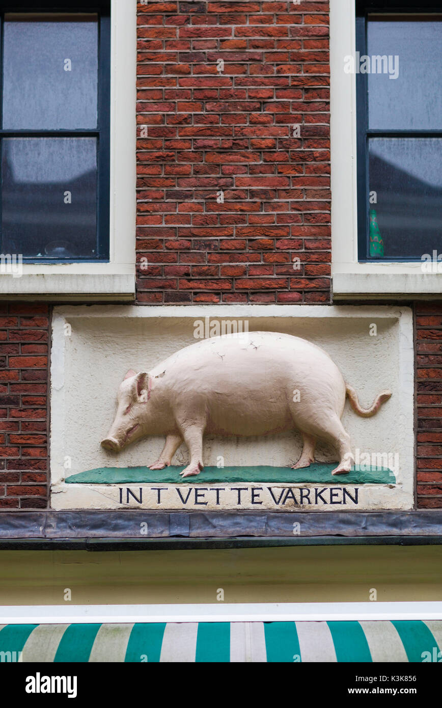 Niederlande, Amsterdam, Jordaan-Viertel, butcher Shop, weißen Schwein relief Stockfoto