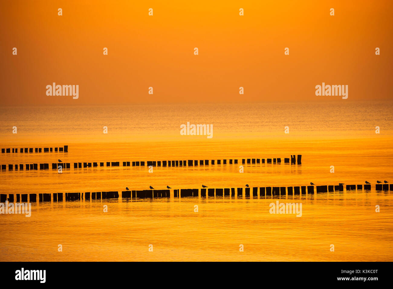 Wellenbrecher mit Möwen in das orange Licht der untergehenden Sonne. Stockfoto